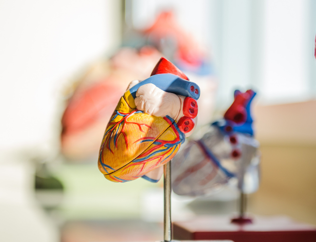 Heart Valve Disorders