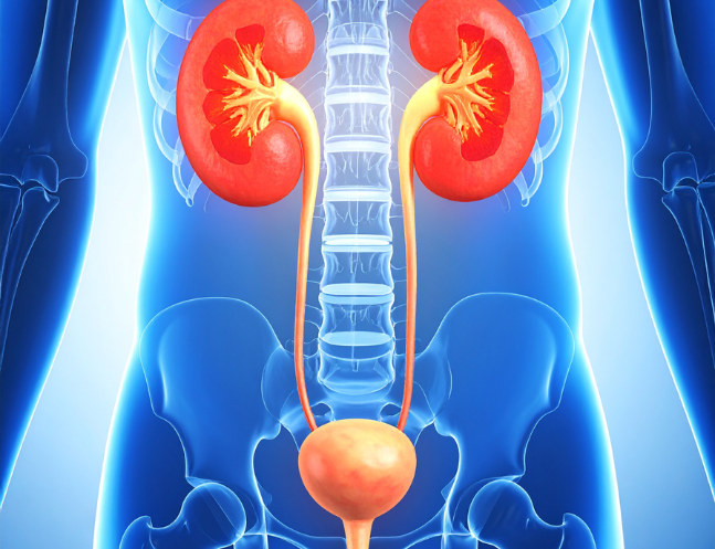 Urinary Tract Obstruction